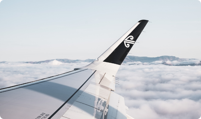 Air New Zealand Wing